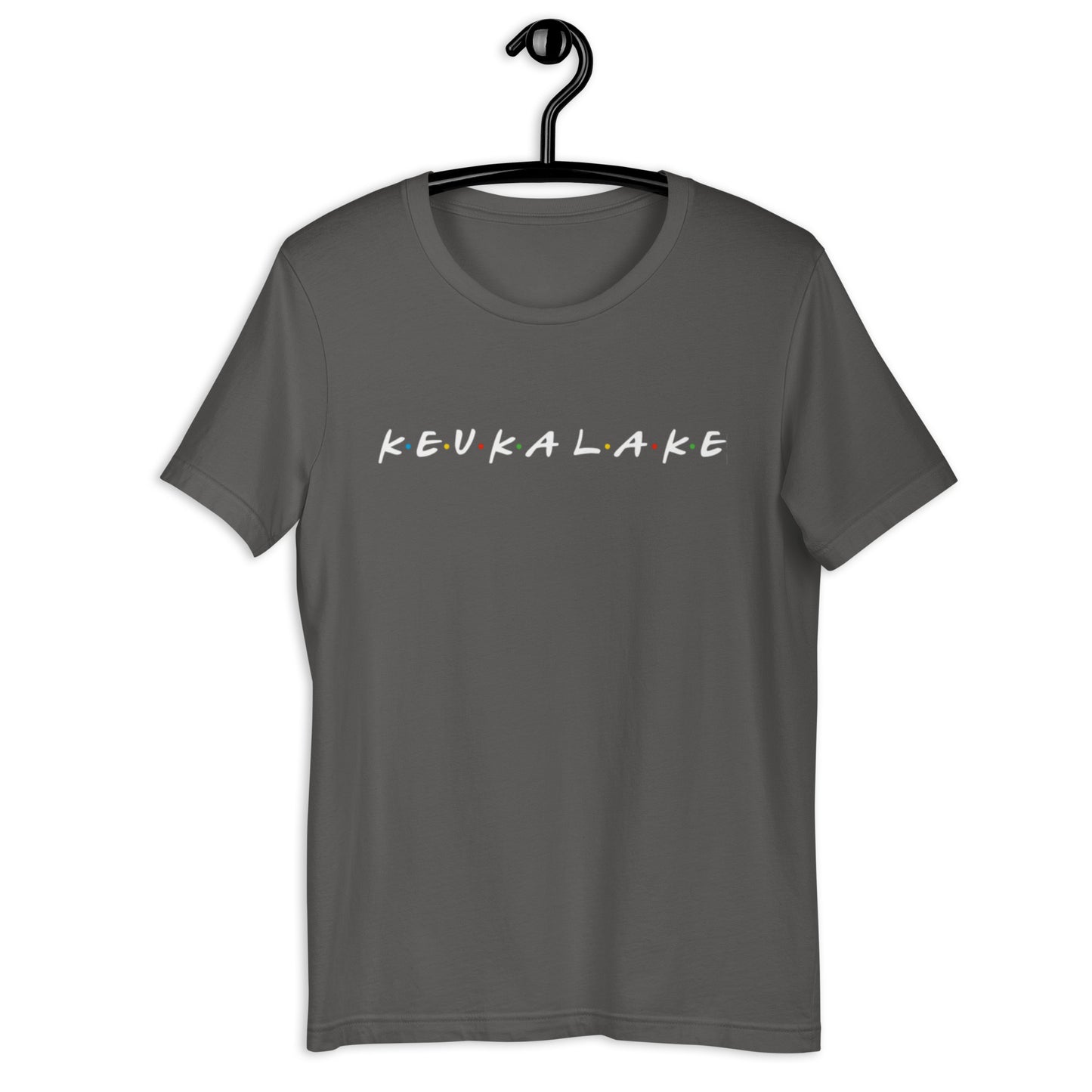 Friends of Keuka Lake basic tee Dark