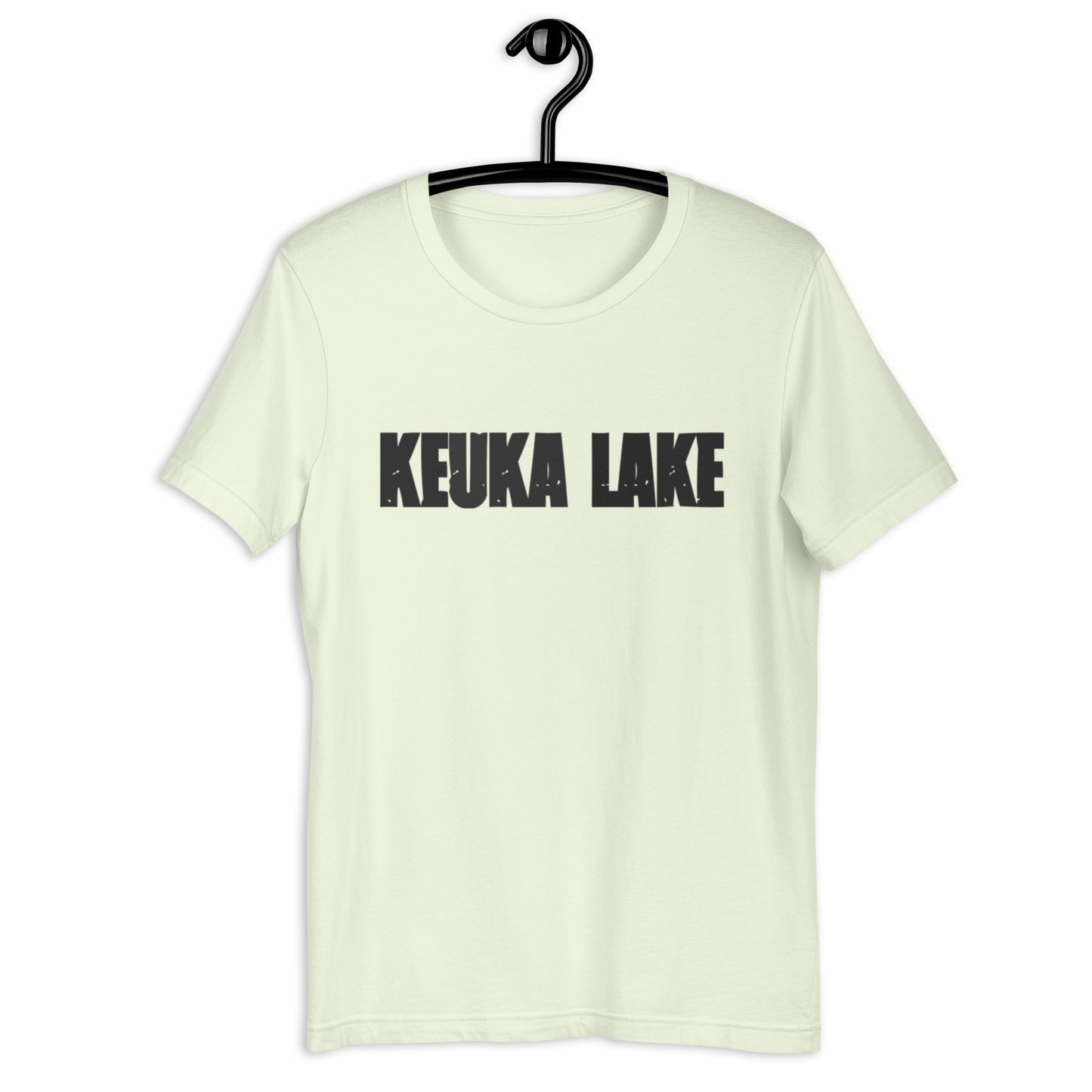 A walk in Keuka Lake Black Print