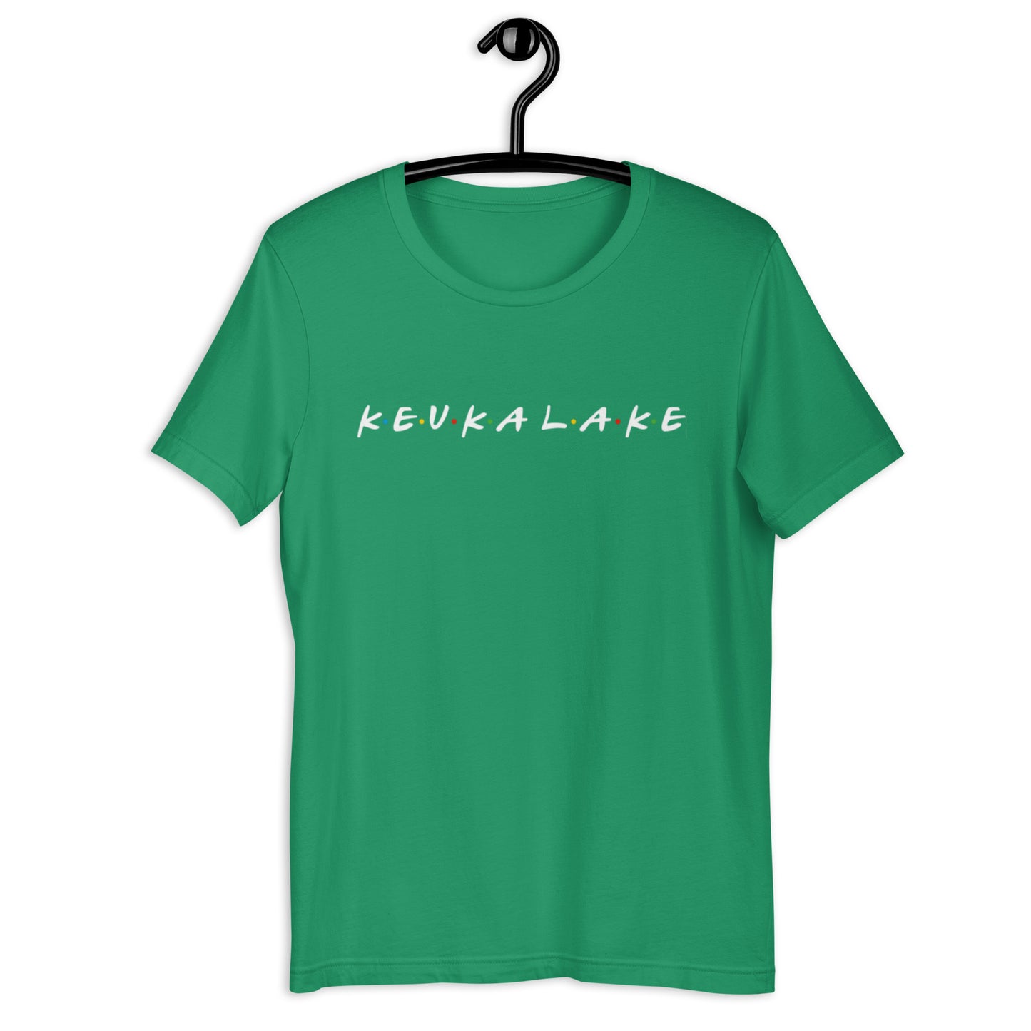 Friends of Keuka Lake basic tee Dark