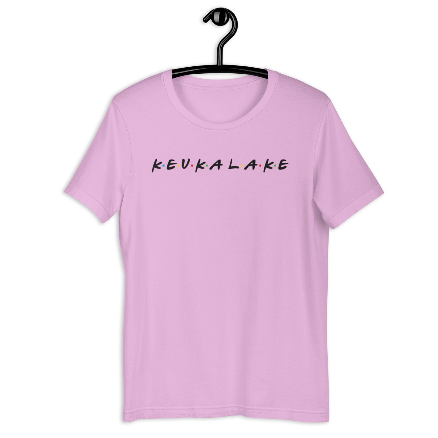Friends of Keuka Lake basic tee