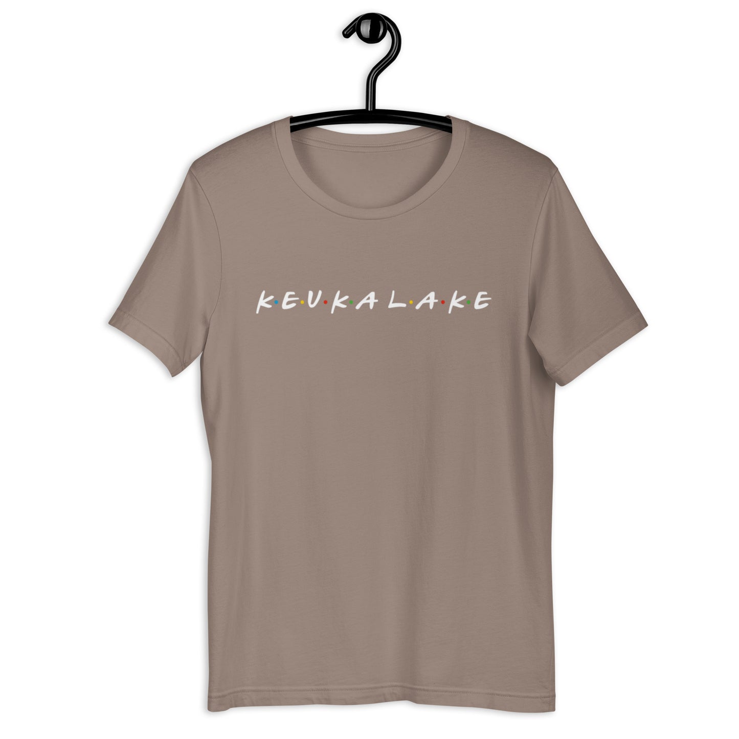 Friends of Keuka Lake basic tee Dark
