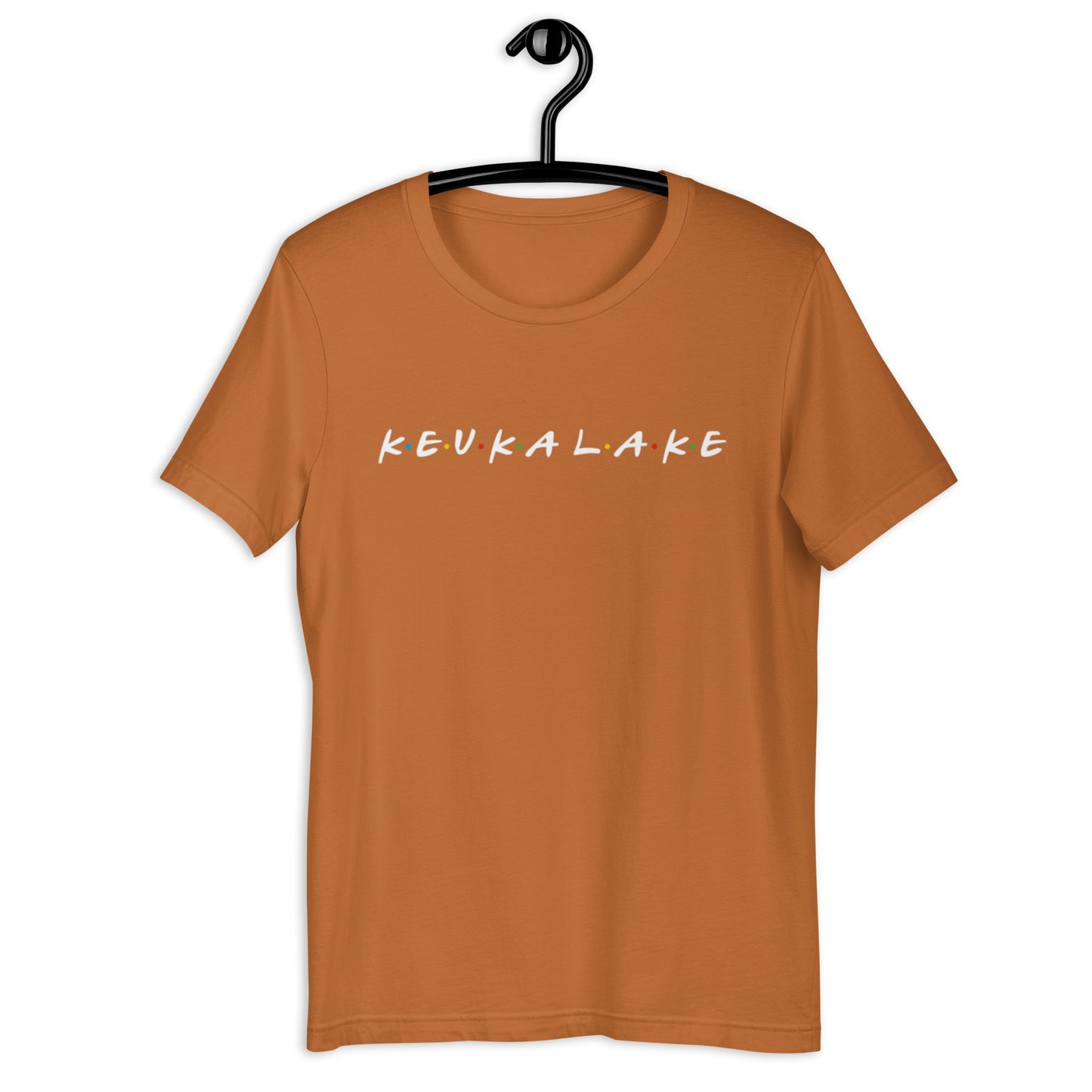 Friends of Keuka Lake basic tee Dark
